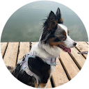 Annabeth Gulbraa profile picture